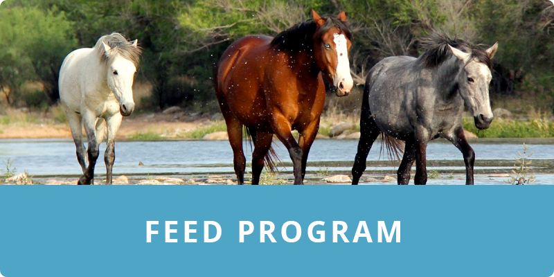 Donate to the Feed Program