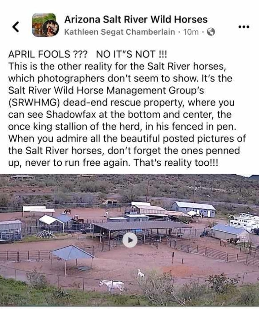 “Arizona Salt River Wild Horses” is NOT our page.