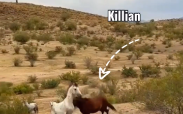 Killian is unstoppable!