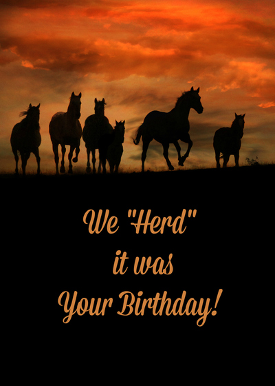 To our amazing lead mare…