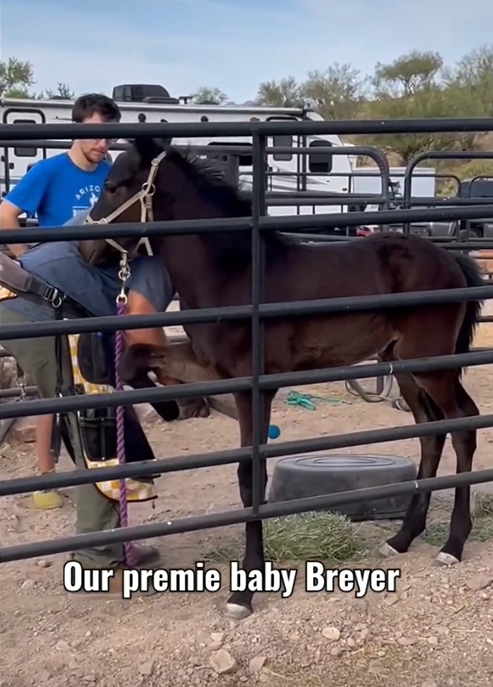 UPDATE! Our premie baby Breyer is almost 3 months old now!