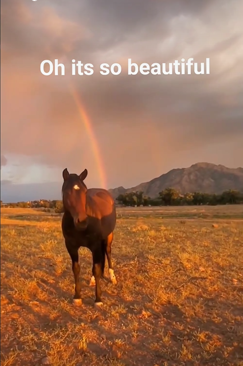 It is so beautiful tonight- Apache with a rainbow!