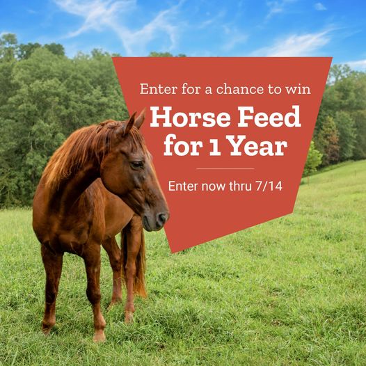 Enter Tractor Supplies Ultimate Horse Feed Sweepstakes!