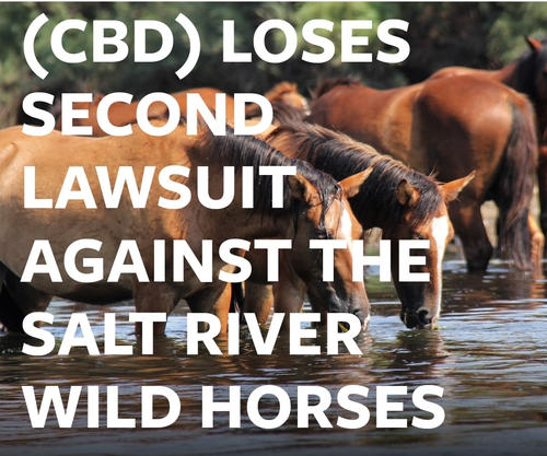 For Immediate Release: Center for Biological Diversity Loses Second Lawsuit Against the Salt River Wild Horses.