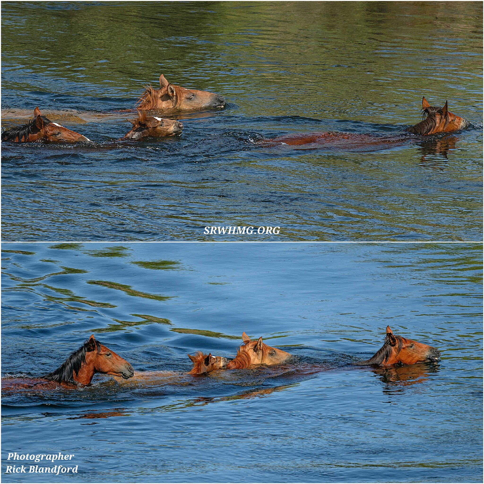 When you are in deep water, hang on to someone!