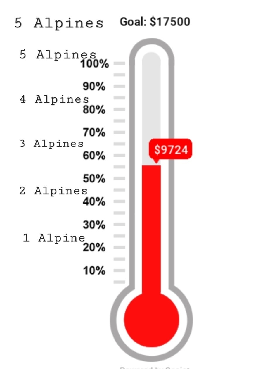 We are close to being able to bid on 3 Alpines, but we don’t want to leave any behind!!