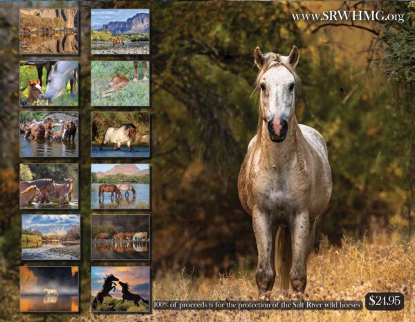 2025 Salt River Wild Horse Calendar