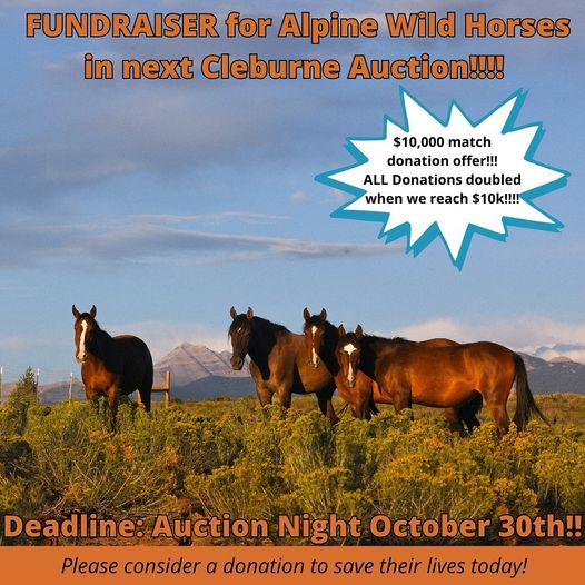 True horror has been done to the Alpine wild horses!