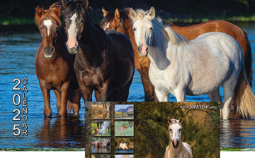 Yesss, our 2025 Salt River Wild Horse Calendar!!