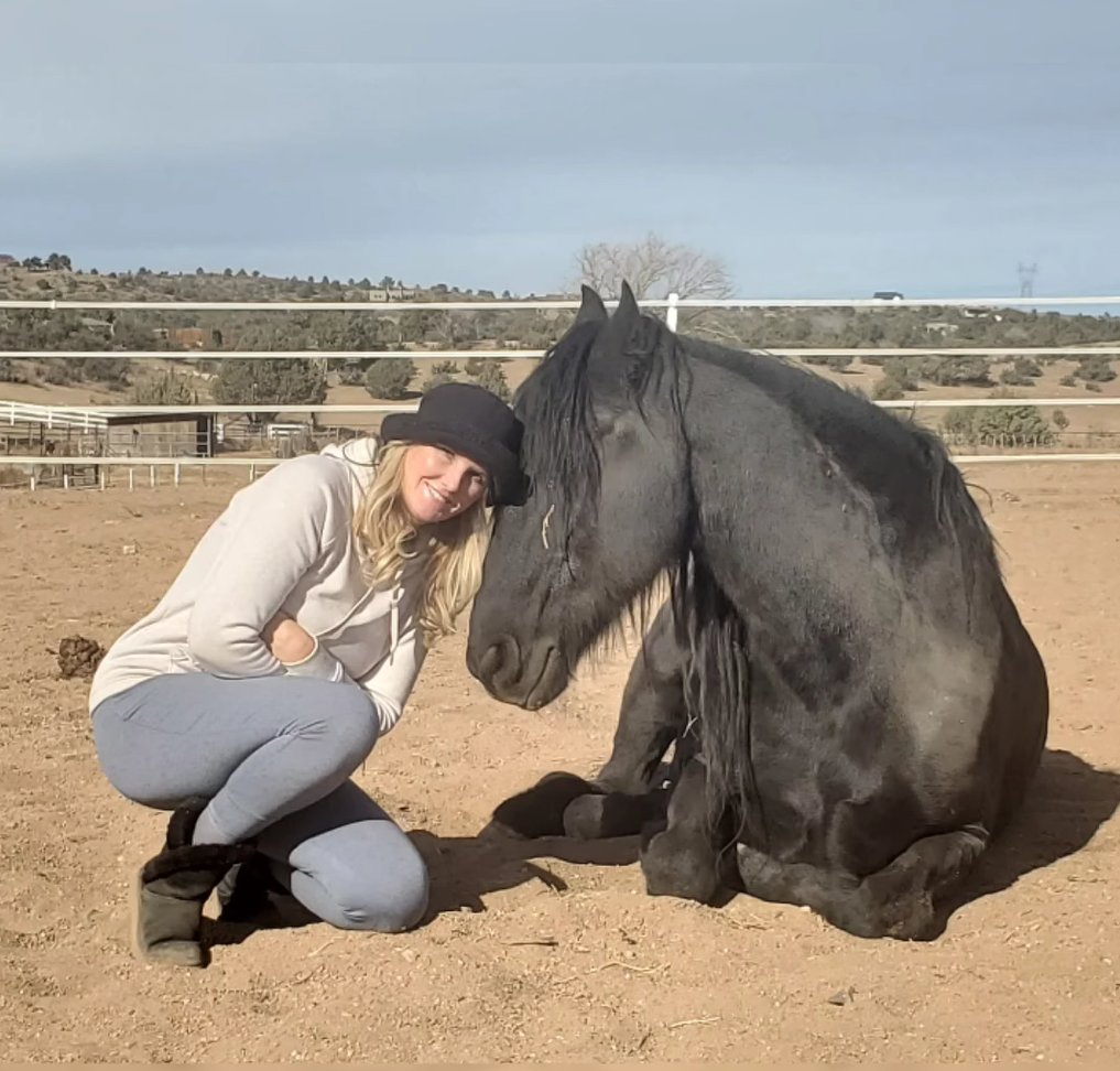 Why are 5 Alpine wild horses are being sold for the 3rd time by Jackie Hughes?