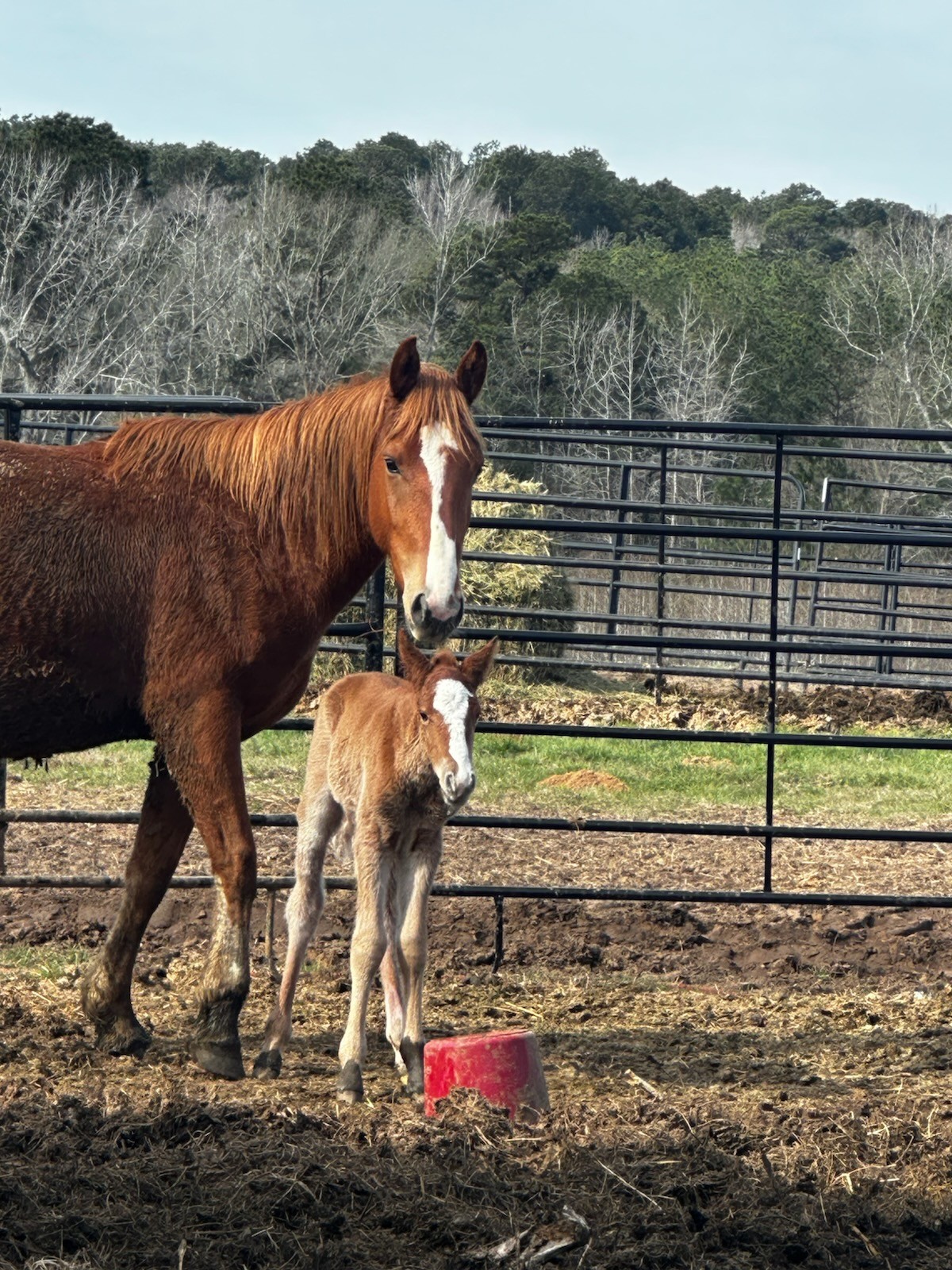 Guess who had a beautiful baby boy!