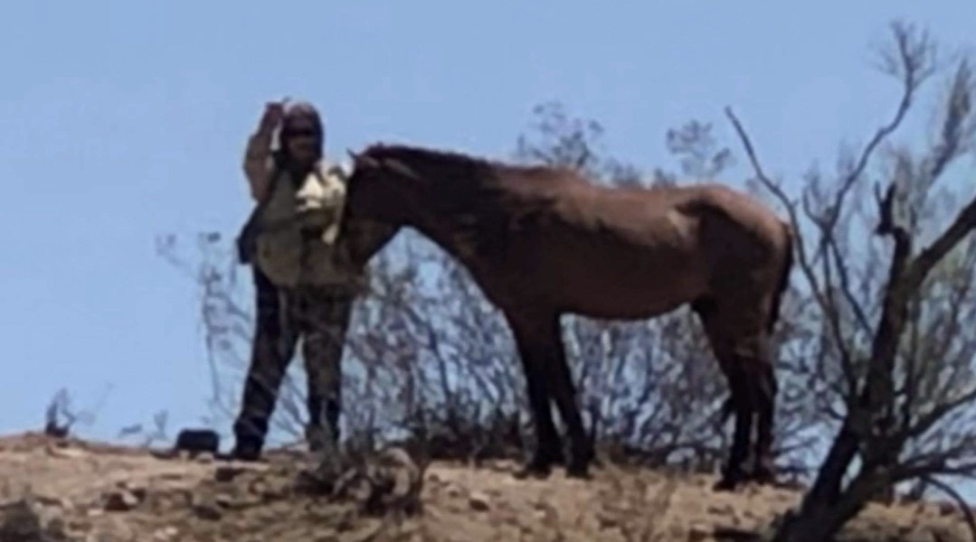 Please be aware! “Arizona Salt River Wild Horses” Facebook page is not us!