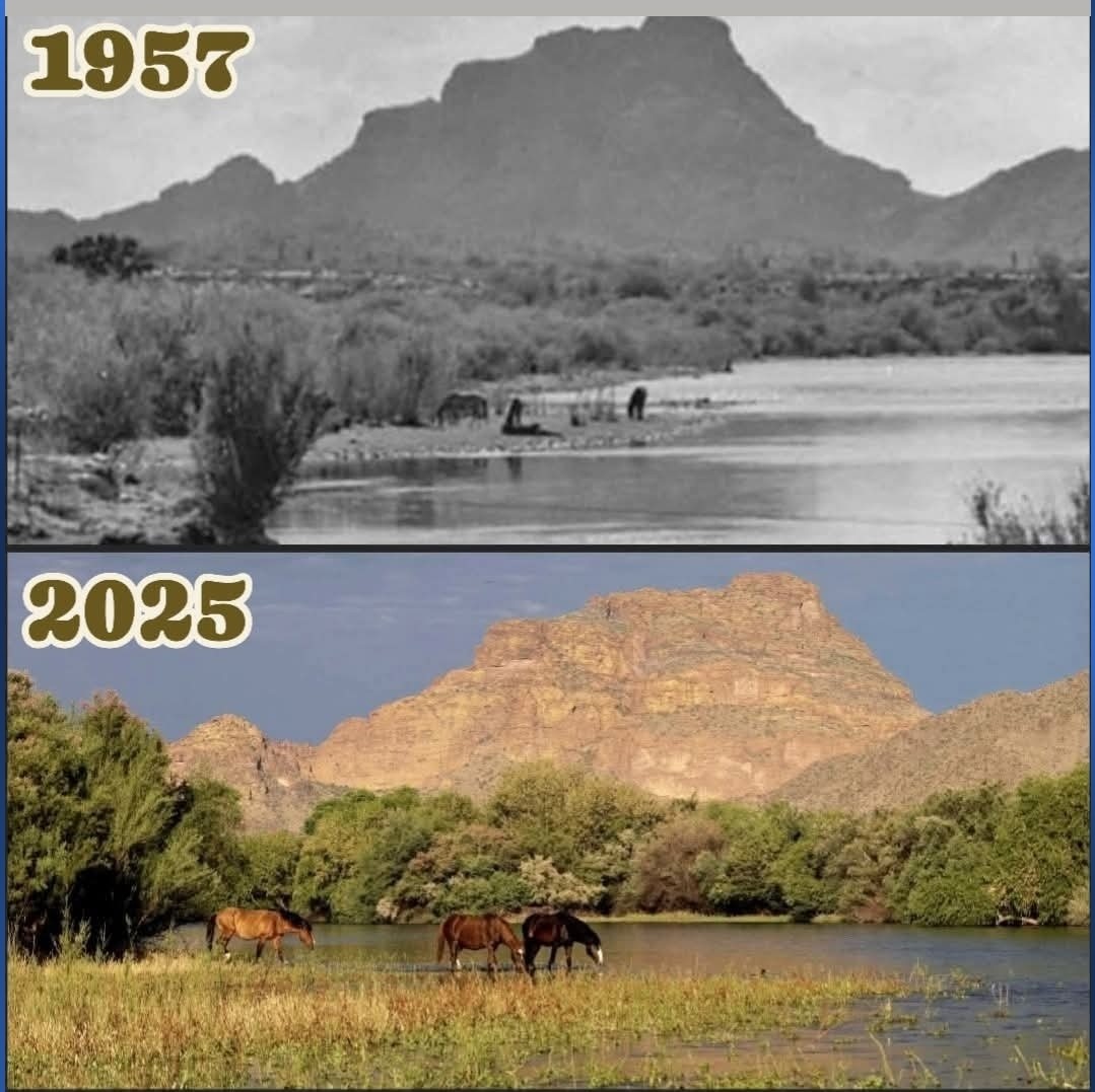 100 horses is not enough to carry them from our past into the future.