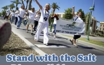 This goes out to all of you who are giving the Salt River wild horses a voice!