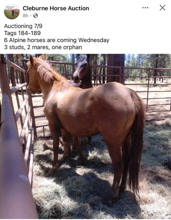 Once again, Jackie Hughes and the Apache-Sitgreaves National Forest are back at it.