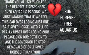 Run Forever Free Aquarius!