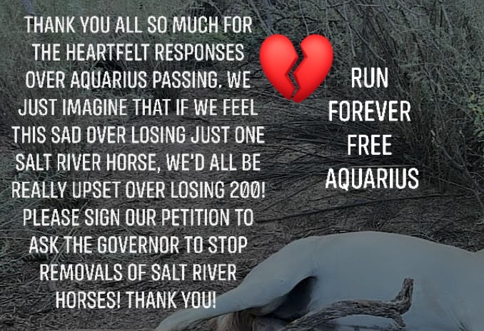 Run Forever Free Aquarius!