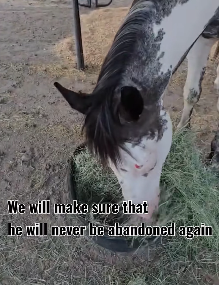 We will make sure that he will never be abandoned again