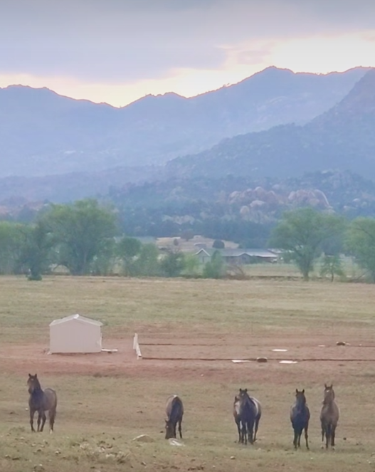 Wish us luck—we uploaded our proposal!