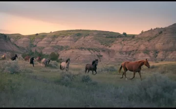 🥰 We love you dear supporters!