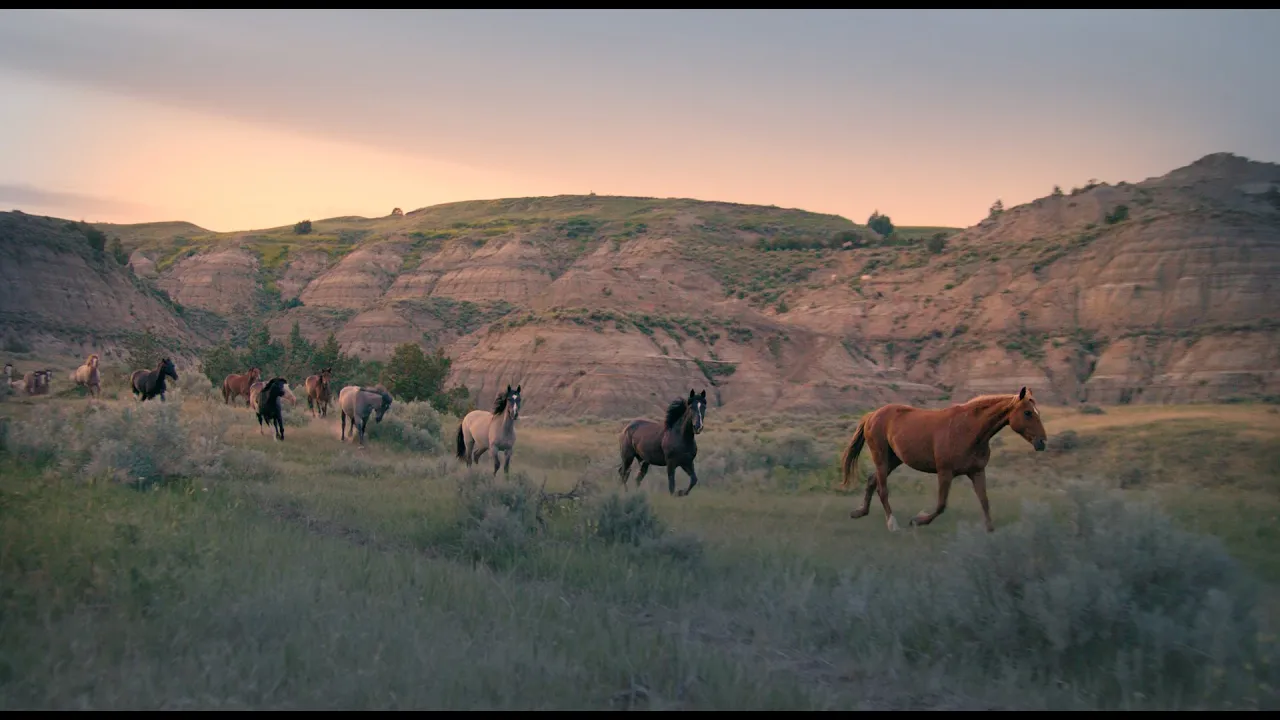 🥰 We love you dear supporters!