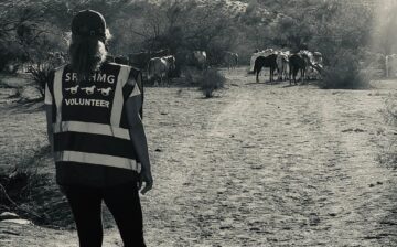 Our volunteers make us proud 💛 Every. Single. Day. 💛