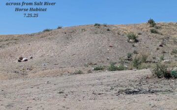 🌎 The Bigger Picture