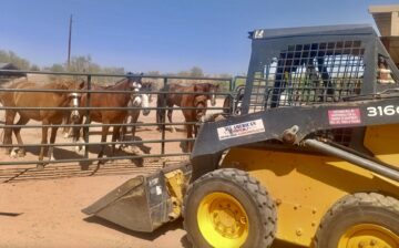 Community Support in Action!