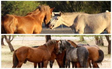 Grab your coffee… we are back with our Friday “As the River Flows”