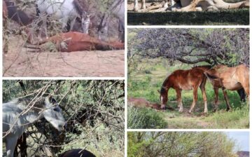 The death of a bandmate… and the funeral that follows.