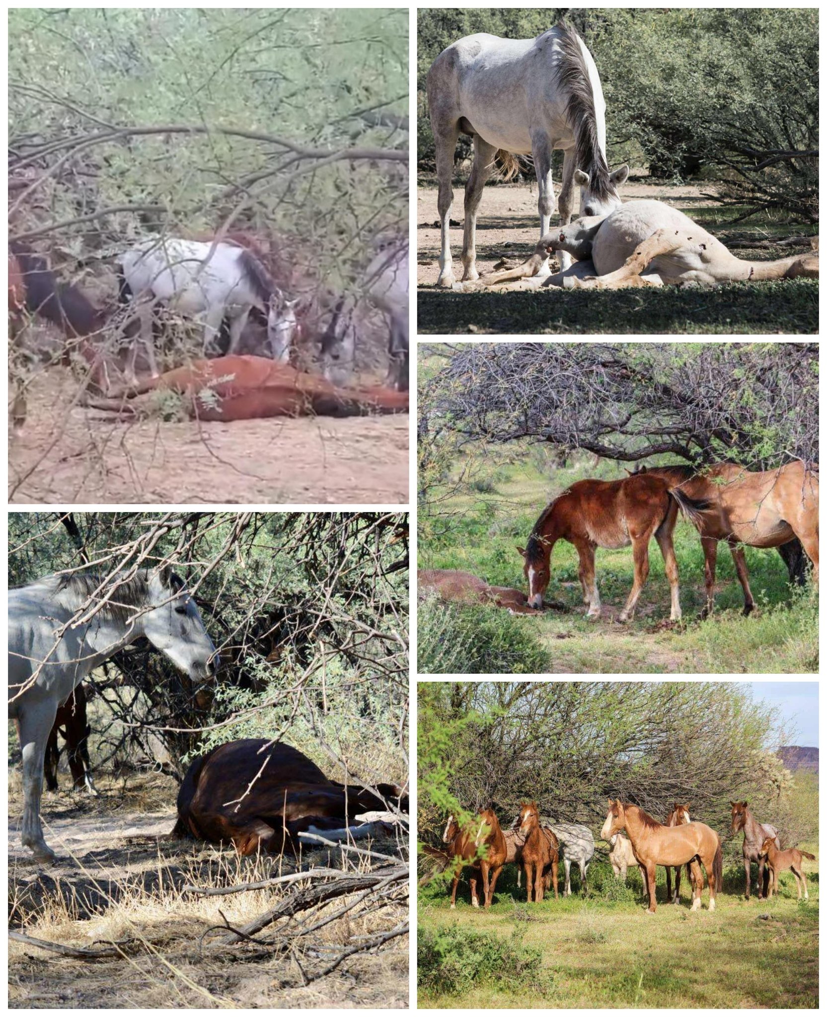 The death of a bandmate… and the funeral that follows.