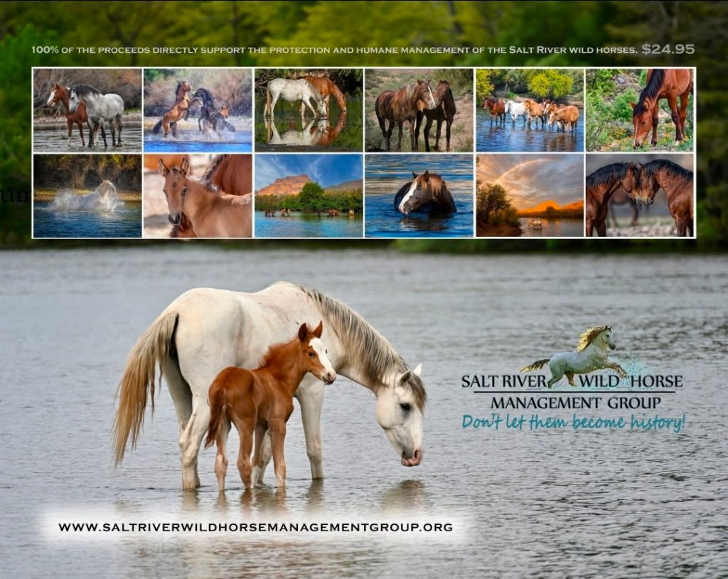 2027 Salt River Wild Horse Calendar – Back Cover