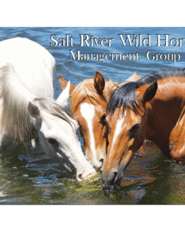 2026 SRWHMG Calendar