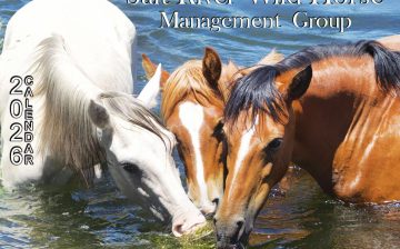 We need to complete 2 miles of fencing so that the “Bad boys” cannot cross the dangerous road anymore!