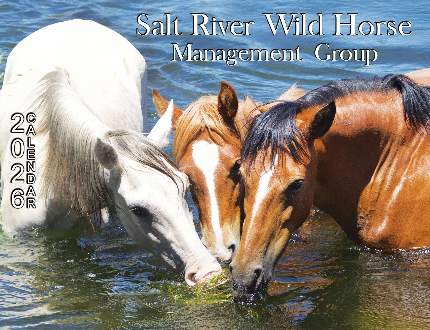 SRWHMG_Calendar 2026 SRWHMG Calendar