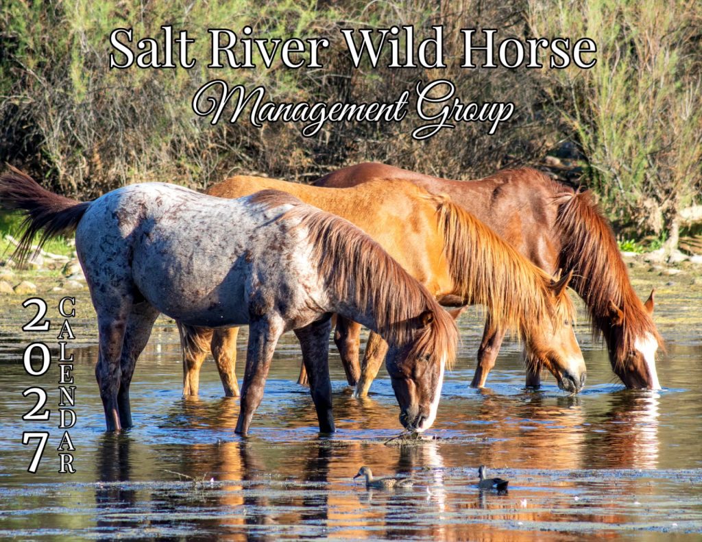 2027 Salt River Wild Horse Calendar – Front Cover