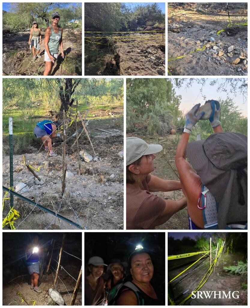 Collage of volunteers