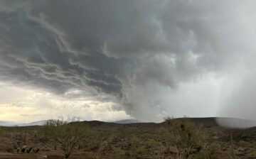 We’ve had several questions about how the horses fared during Friday’s torrential downpours.