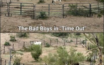 The “bad boys” aren’t done testing us yet!😅