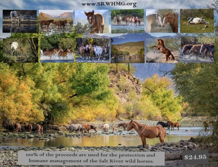 2026 calendar preview