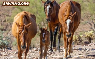 Bearing heartbreaking news, again…