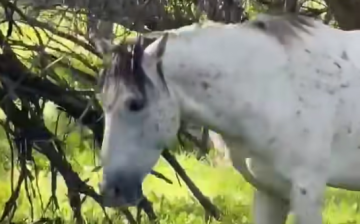 VSV: We are checking our list twice, but not for who’s naughty or nice…