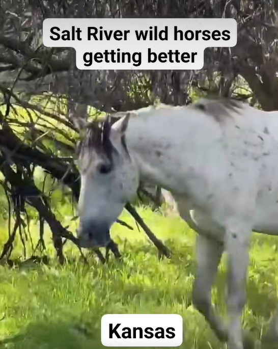 VSV: We are checking our list twice, but not for who’s naughty or nice…