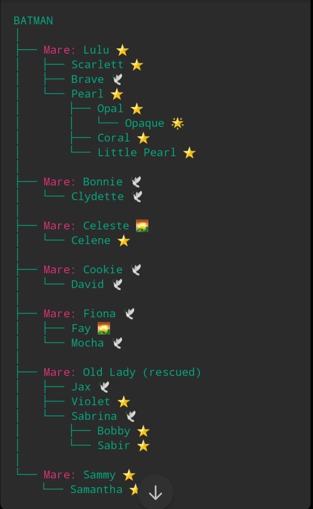 Batman Lineage chart
