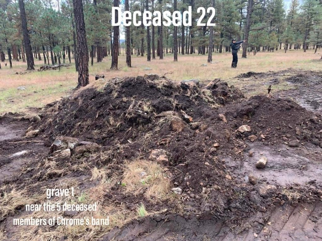 Grave 1: near the 5 deceased members of Chrome's band