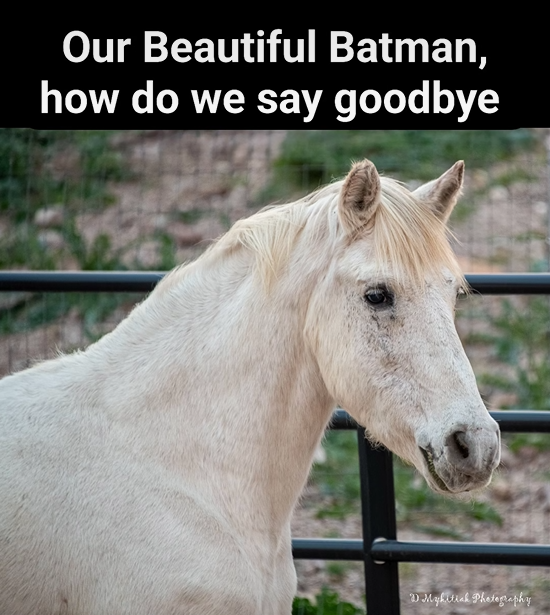 Our Beautiful Batman, how do we say goodbye?