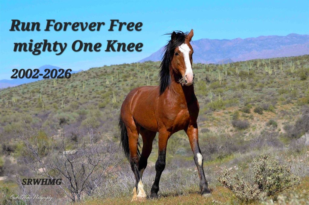run forever free mighty one knee