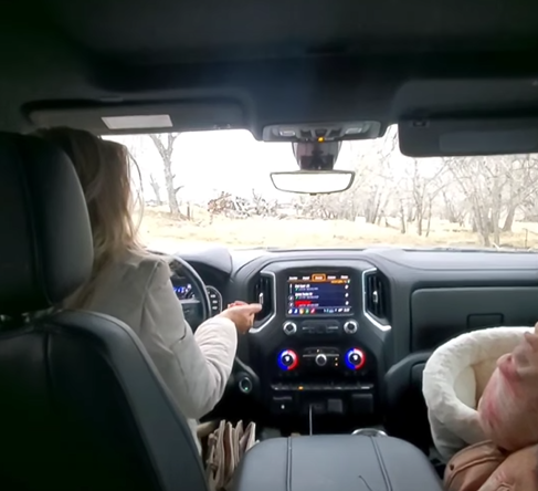 Sadly, as we ring in the new year, the future of the Salt River wild horses is still very uncertain.