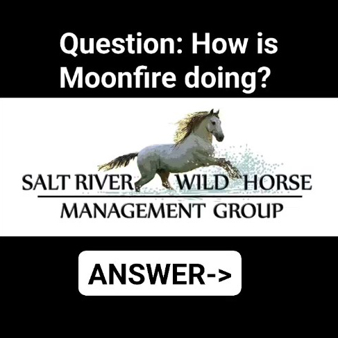 How’s Moonfire doing? Answer: Great!