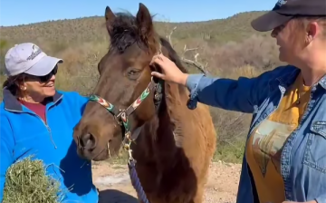 Please share  because no horse should ever be left behind! ❤️